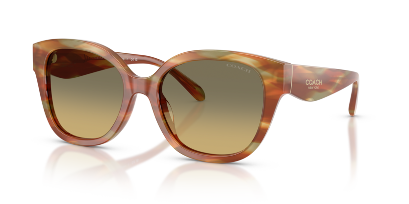 Coach HC8438U Cby94 Sunglasses