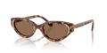 Swarovski SK6030F  Sunglasses