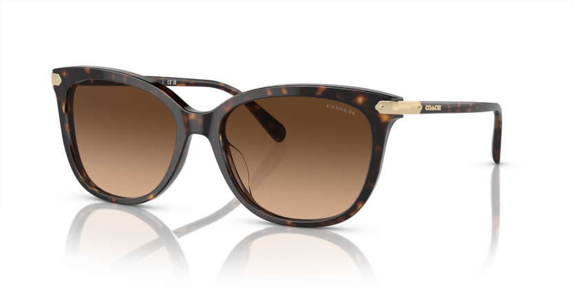 Coach HC8378U Cl926 Sunglasses
