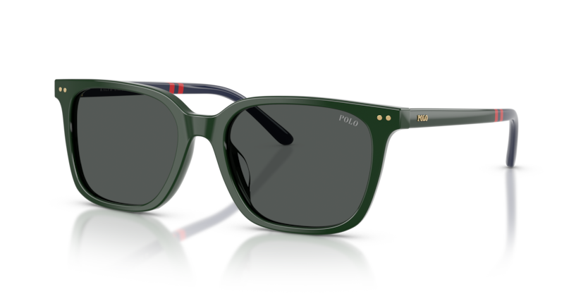 Polo PH4235U  Sunglasses
