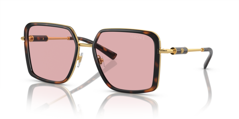 Versace VE2261  Sunglasses