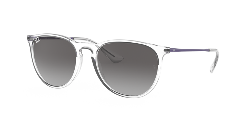 Ray-Ban RB4171 Erika Sunglasses