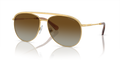 Swarovski SK7005  Sunglasses