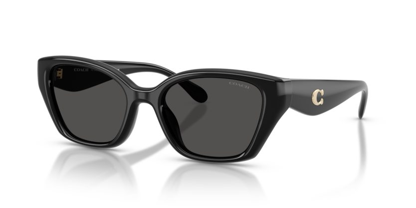Coach HC8434U Cby91 Sunglasses