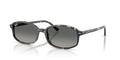 Ray-Ban RB2232  Sunglasses