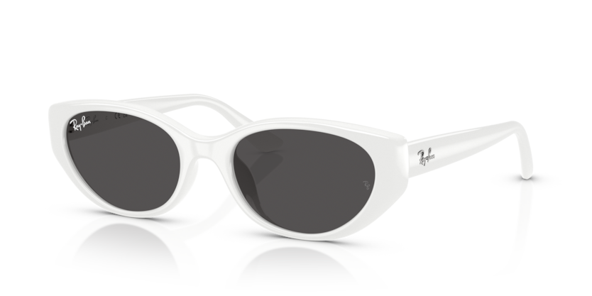 Ray-Ban RB4457D  Sunglasses