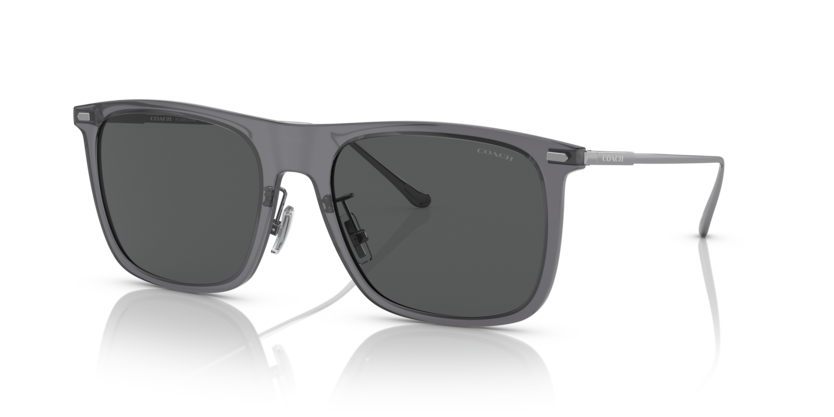 Coach HC8356 Cd456 Sunglasses