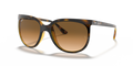 Ray-Ban RB4126 Cats 1000 Sunglasses