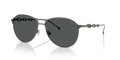 Diesel DL1009  Sunglasses