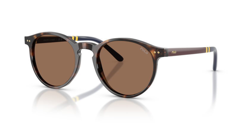 Polo PH4236  Sunglasses