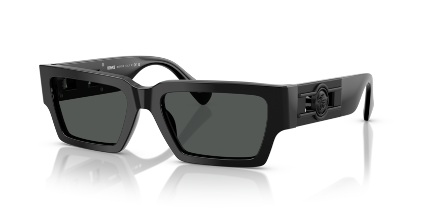 Versace VE4459  Sunglasses