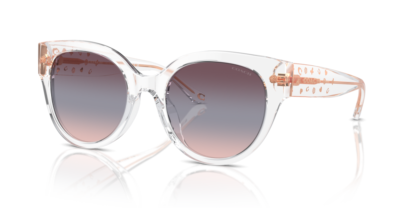 Coach HC8393U Cr612 Sunglasses