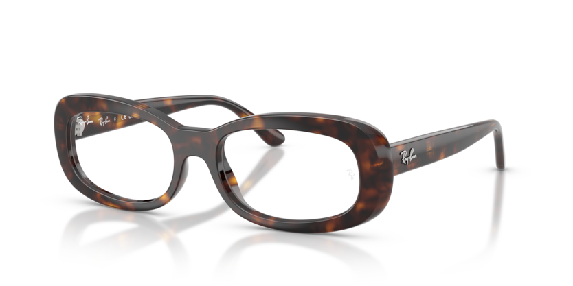 Ray-Ban Vista RX2221V  Eyeglasses