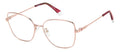Polaroid PLD D521/G Eyeglasses
