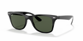 Ray-Ban RB4195 Wayfarer Liteforce Sunglasses
