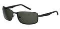 Polaroid PLD 2045/S Sunglasses