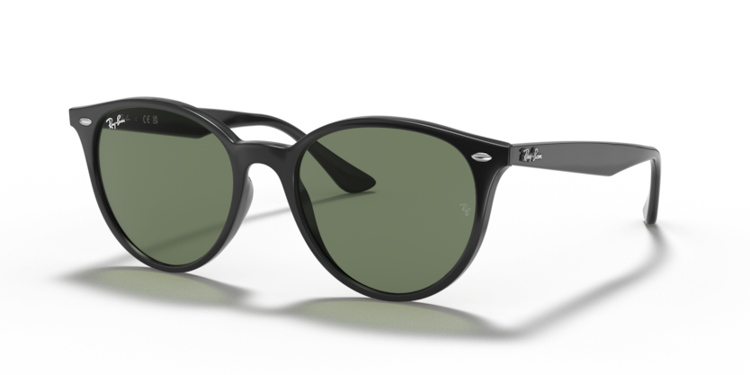 Ray-Ban RB4305  Sunglasses