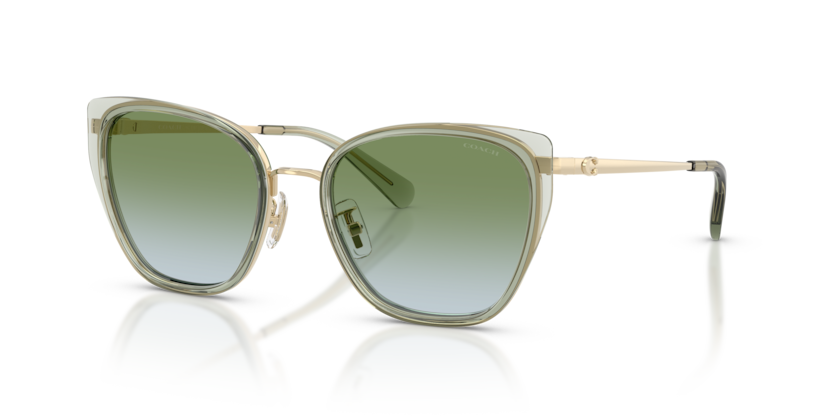 Coach HC7187 Cdp56 Sunglasses