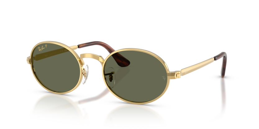Ray-Ban RB3931  Sunglasses