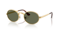 Ray-Ban RB3931  Sunglasses