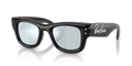 Ray-Ban RB4940B Wayfarer Puffer Sunglasses
