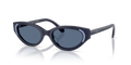 Swarovski SK6030F  Sunglasses