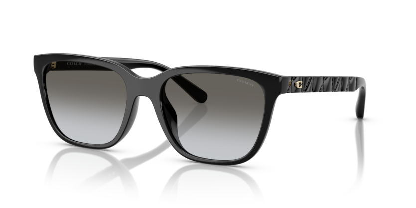 Coach HC8429D Cae86 Sunglasses