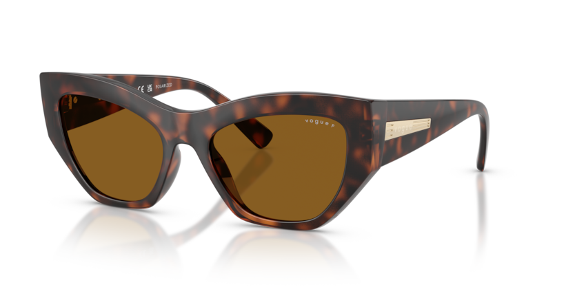 Vogue VO5607S  Sunglasses