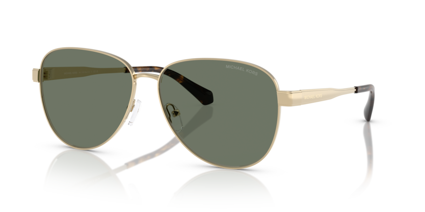 Michael Kors MK1160 Biarritz Sunglasses