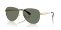 Michael Kors MK1160 Biarritz Sunglasses