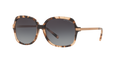 Michael Kors MK2024 Adrianna Ii Sunglasses