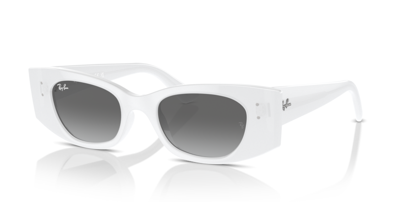 Ray-Ban RB4427 Kat Sunglasses