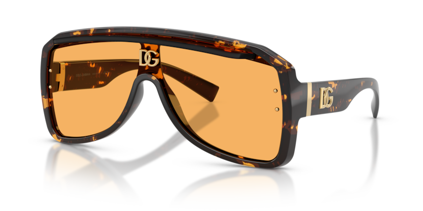 Dolce & Gabbana DG6205  Sunglasses