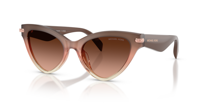 Michael Kors MK2259U Roanoke Sunglasses