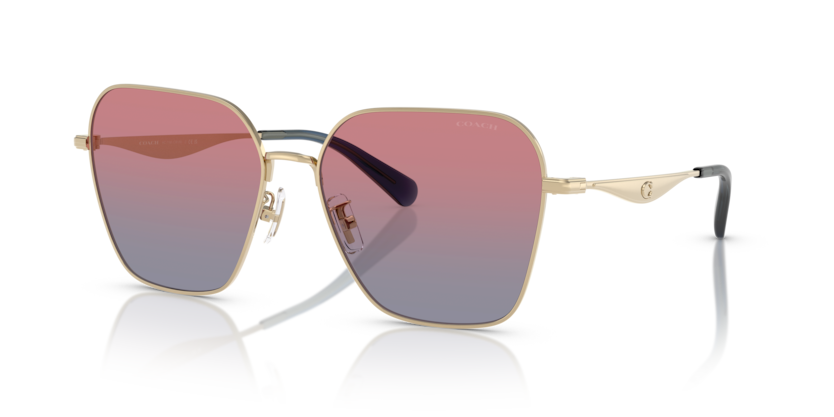 Coach HC7168 Cw189 Sunglasses