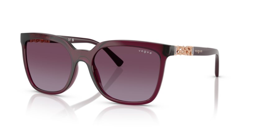 Vogue VO5633SB  Sunglasses