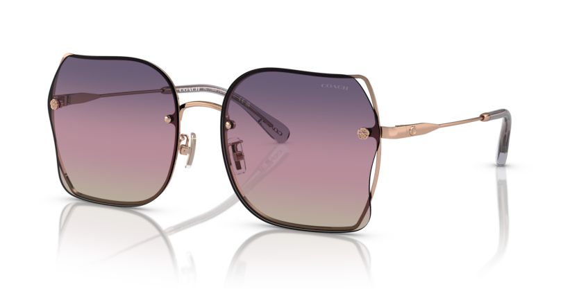 Coach HC7150D Ch574 Sunglasses