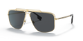 Versace VE2242  Sunglasses