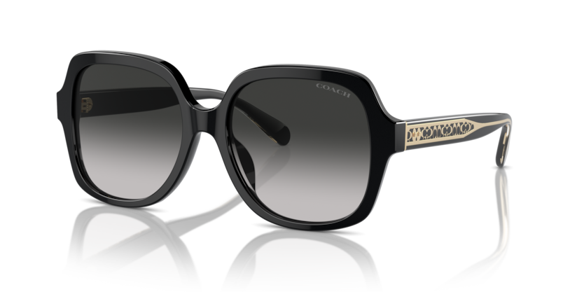 Coach HC8395F Cr962 Sunglasses