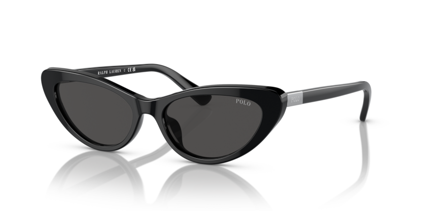 Polo PH4199U  Sunglasses