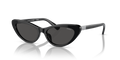 Polo PH4199U  Sunglasses