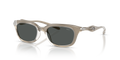 Diesel DL3013U  Sunglasses