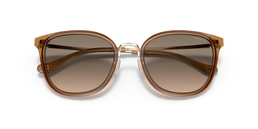 Coach HC7135 C7999 Sunglasses