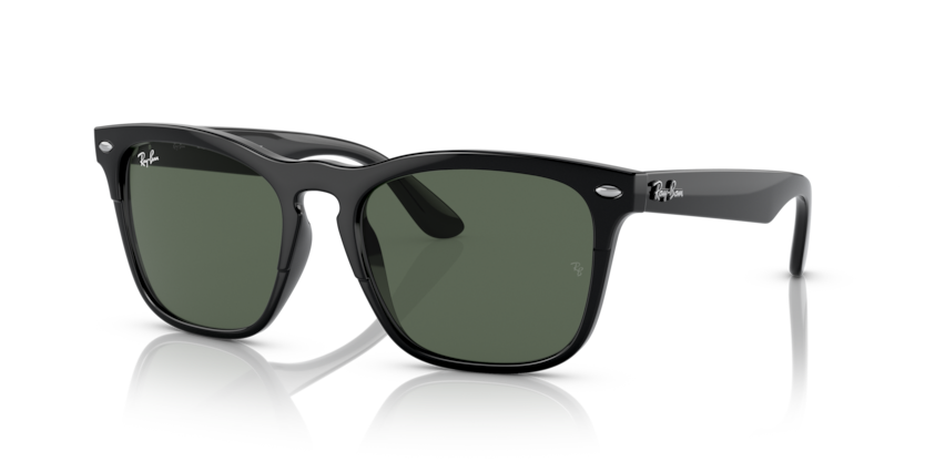 Ray-Ban RB4487 Steve Sunglasses