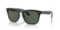Ray-Ban RB4487 Steve Sunglasses
