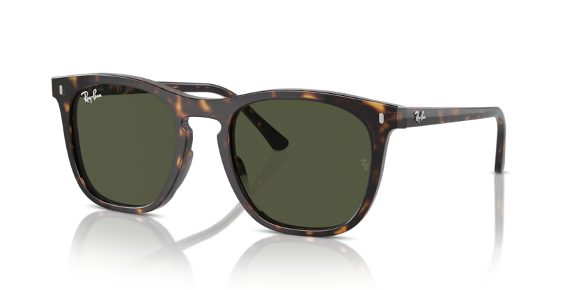 Ray-Ban RB2210  Sunglasses