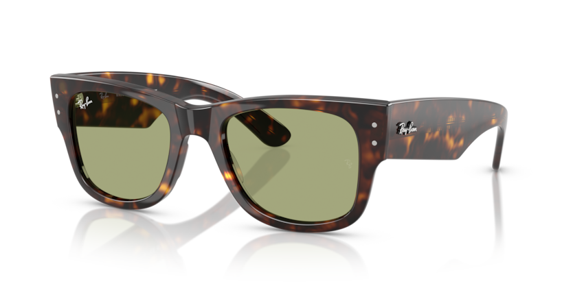 Ray-Ban RB0840S Mega Wayfarer Sunglasses