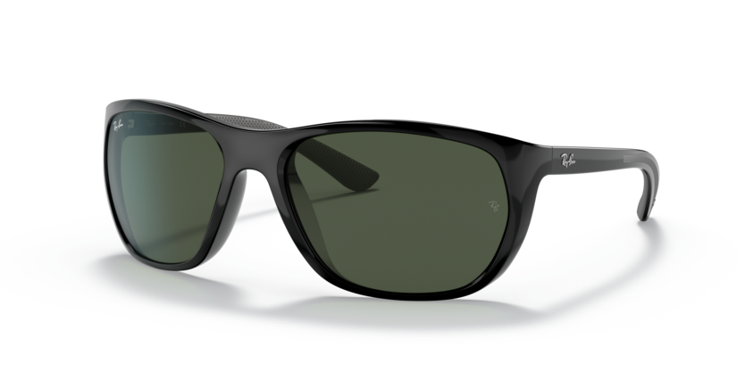 Ray-Ban RB4307  Sunglasses