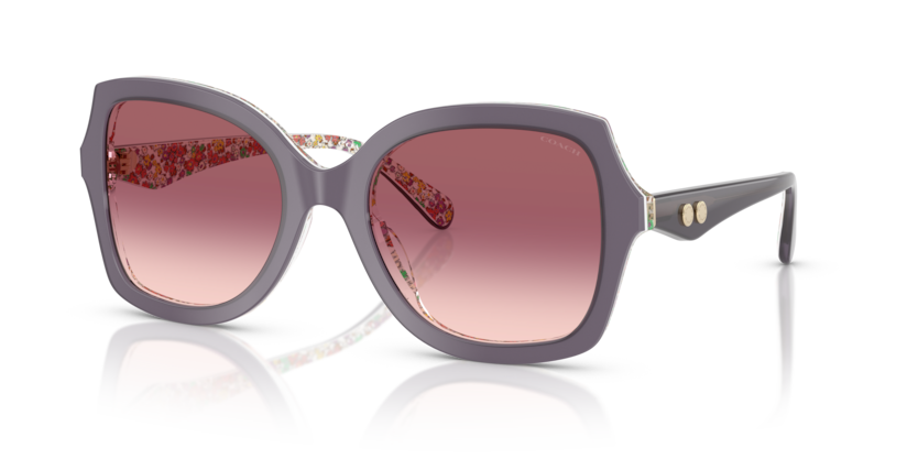 Coach HC8410U Cw225 Sunglasses
