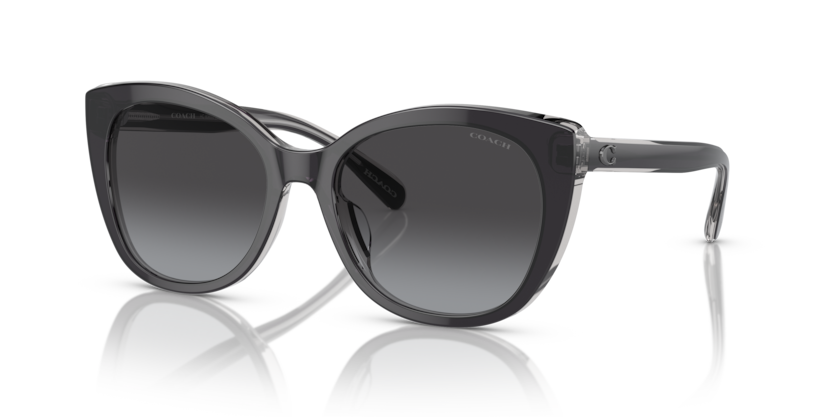 Coach HC8365U Ch566 Sunglasses